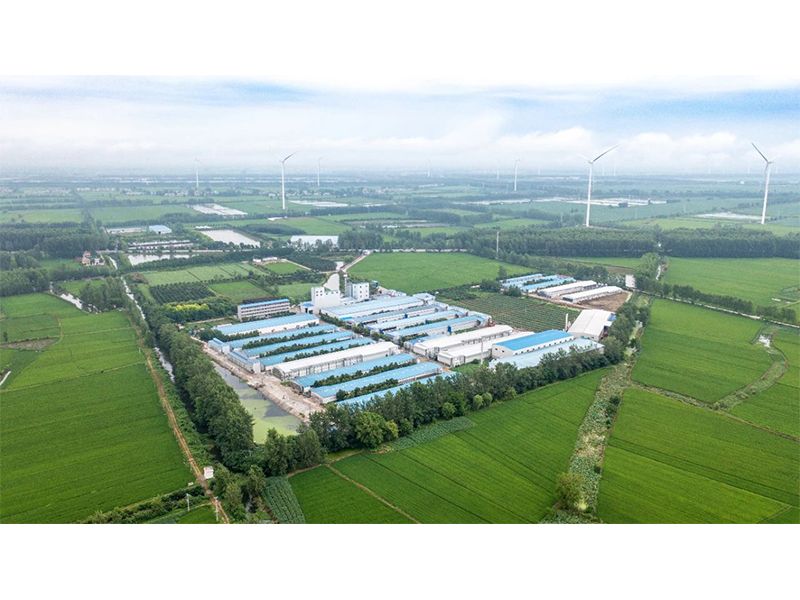 2023年中央一號文件出爐，畜禽產(chǎn)業(yè)應(yīng)抓住哪些新機(jī)遇？