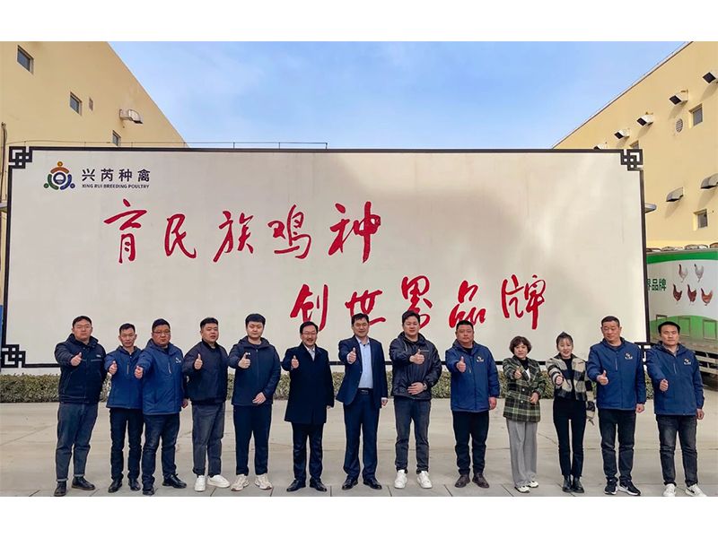 參觀學(xué)習(xí)促進(jìn)步 交流合作贏發(fā)展︱卓一牧業(yè)赴興芮種禽、峪口禽業(yè)與瑞普生物參觀訪學(xué)