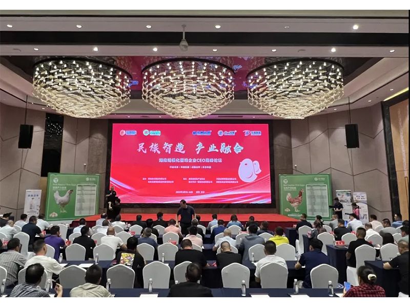 熱烈祝賀湖南規(guī)?；半u企業(yè)CEO高峰論壇取得圓滿(mǎn)成功！